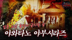 [서프라이즈] 일본 도심 출입이 금지된 숲 야와타노 야부시라즈 MBC161218방송