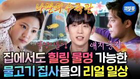 [엠뚜루마뚜루] 이거 보면 물고기 키우고 싶어짐🥹 야무지게 반려어 케어하는 물고기 집사의 일상🐟ㅣ#조아람 #김대호 #이상이 MBC250110방송