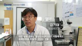 ROS에 장시간 노출된다면 인체에게 미치는 영향은?, MBC 250907 방송