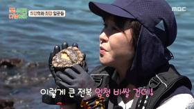 ＂전복쓰 잡아쓰＂ 박준형이 잡은 전복을 보고 감탄하는 최강희😮, MBC 250908 방송