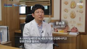 뇌세포 활성화와 에너지 대사를 돕는 포스파티딜세린, MBC 250914 방송