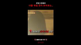 부엌 안에서 나를 죽일 듯이 쏘아보는.. #심야괴담회