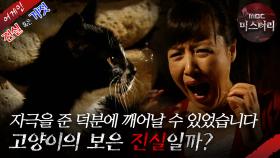 [어게인 진실 혹은 거짓] 검은 고양이 VS The Fan MBC070520방송
