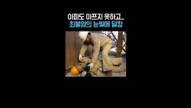 최불암의 카리스마 눈빛에 덜덜😅 #영웅시대 #옛드