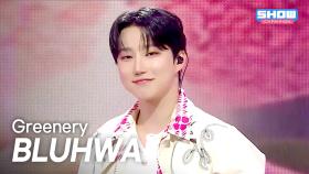 BLUHWA(블루화) - Greenery l 251001