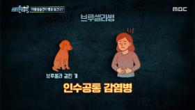 학원에 쌓여있는 켄넬 무더기, 뜬 장에 갇혀 나오지 못하는 개들, MBC 251002 방송