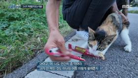 마치 자식처럼 고양이를 자랑하는 그녀, 먹을 걸 보자 흥분한 고양이, MBC 251002 방송