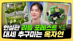 《스페셜》 현실판 리틀 포레스트🌿 대세 추구미는 옥자연, MBC 2501001 방송