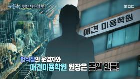 개똥과 쥐똥이 섞여있는 바닥, 