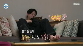 본가에 온 도운😸 얌전한 토리와 앙칼진 호수니, MBC 251003 방송