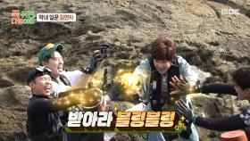 막내(?) 김연자의 기를 받아✨ 촛대 고둥을 잡아내는 미미, MBC 251006 방송