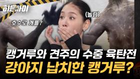 강아지를 납치한 캥거루?! 캥거루와 견주의 치열한 수중 육탄전!