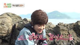 아직은 해삼이 무서운 무인도 막내 김연자🫣 박하지까지 발견?!, MBC 251006 방송