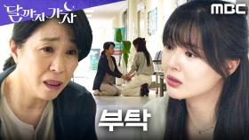 서현철을 살리기 위해... 결국 무릎 꿇은 김미경의 간절한 부탁, MBC 251011 방송