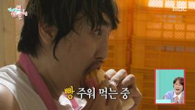 창고에서 몰래 간식 먹는 최홍만🥖 구석에서 홀로 즐기는 여유, MBC 251011 방송