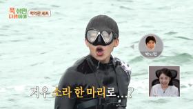 해루질 중에 문어를 발견한 박지현🐙 목포의 아들 박지현은 문어를 잡을 수 있을까?!, MBC 251013 방송
