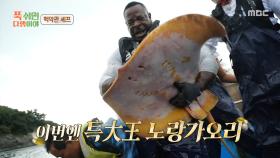 특대 사이즈 노랑가오리 등장😲 일당백의 일꾼 안드레 러시, MBC 251013 방송