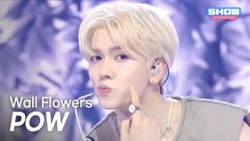 [COMEBACK] POW(파우) - Wall Flowers l 251015