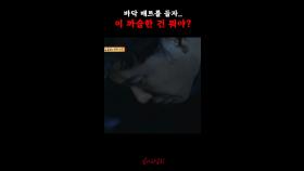 바닥 매트를 들자.. 이 까슬한 건 뭐야? #심야괴담회