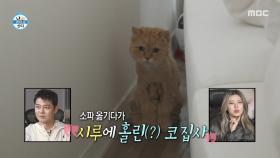 코드 쿤스트의 변수는 시루😸 어쩔 수 없이(?) 계획 중단, MBC 251017 방송