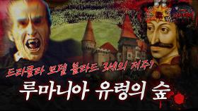 [서프라이즈] 드라큘라 모델 블라드 3세의 저주? 루마니아 유령의 숲 MBC180408방송