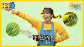 뽀미랑 노래해요 - 메뚜기, MBC 251020 방송