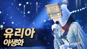 《클린버전》 유리아 - 야생화, MBC 250907 방송