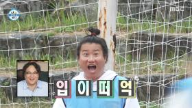 옥자연🆚최민호🆚박지현 치열한 3파전💨 믿기지 않는 속도, MBC 251024 방송