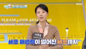 피부 진피층까지 닿아 세포 재생력을 높여주는 세리포리아, MBC 251026 방송