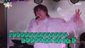 받아라 울릉도 킥💥 크루즈 뒤집은 김장훈의 무대, MBC 251025 방송