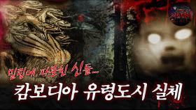 [서프라이즈] 밀림에 파묻힌 신들... 캄보디아 유령도시의 진실 MBC160731방송