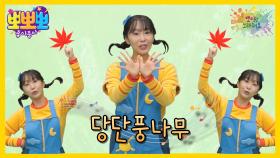 뽀미랑 노래해요 - 당단풍나무, MBC 251027 방송