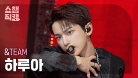 [쇼챔직캠 4K] &TEAM HARUA(앤팀 하루아) - Back to Life | Show Champion | EP.576