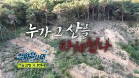 [335회 예고] 사랑과 전쟁 기적의 아이 & 누가 그 산을 파헤쳤나, MBC 251106 방송