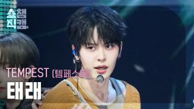 [쇼챔직캠 4K] TEMPEST TAERAE(템페스트 태래) - In The Dark | Show Champion | EP.576