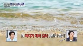 총 일곱 가구만 거주하는 섬 