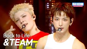 &TEAM - Back to Life l 251112