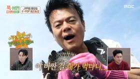 갓 잡은 광어와 강담돔 회 뜨기🐟 입맛을 다시는 박진영, MBC 251117 방송