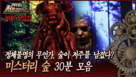 [다시보는 서프라이즈] 정체불명의 무언가, 숲이 저주를 남겼다? 미스터리 숲 30분 모음 MBC 160410 방송