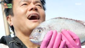 참돔을 잡아 행복한 박진영🥰 짤(?) 무한 생성 중, MBC 251117 방송