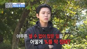 단풍의 색깔로 연령 관측이 가능하다?!🍂 단풍 절정의 기준은 80%😲, MBC 251120 방송