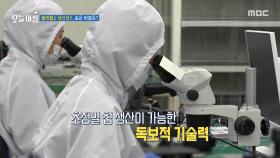 중소기업·대기업 상생, 서로 얻은 것은?, MBC 251119 방송