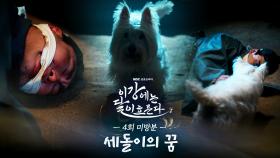 [미방분] 세돌이에게도 꿈이 있었지... 망덕이만 아니었다면, MBC 251115 방송