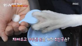 손님, 샴푸해 드릴까요? 이발소 1등 직원 깡준이🐶, MBC 251120 방송