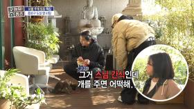 법당 앞을 지키는 강아지 인형...?😲 반전! 귀여운 2개월 생 아기 강아지🐶, MBC 251120 방송