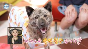 [선공개] 동거부터 시작한 박나래💗복돌이🐕 서로의 속도를 맞춰가는 중, MBC 251121 방송