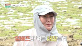 [선공개] 고된 노동 후 먹는 잔지바르식 새참🌽 처음 보는 비주얼의 음식!, MBC 251126 방송