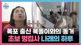 《스페셜》 목포 출신 복돌이와의 동거! 초보 멍집사 나래의 하루, MBC 251121 방송