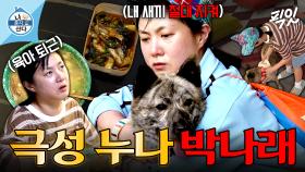 [픽잇] 하루 종일 복돌이 산책시키고, 육퇴 후 북엇국 끓여 먹는 초보 견주 박나래 MBC251121방송 #나혼산 #박나래