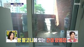 집에서 꿀을 얻는다! 방 발코니의 작은 양봉장🐝, MBC 251127 방송